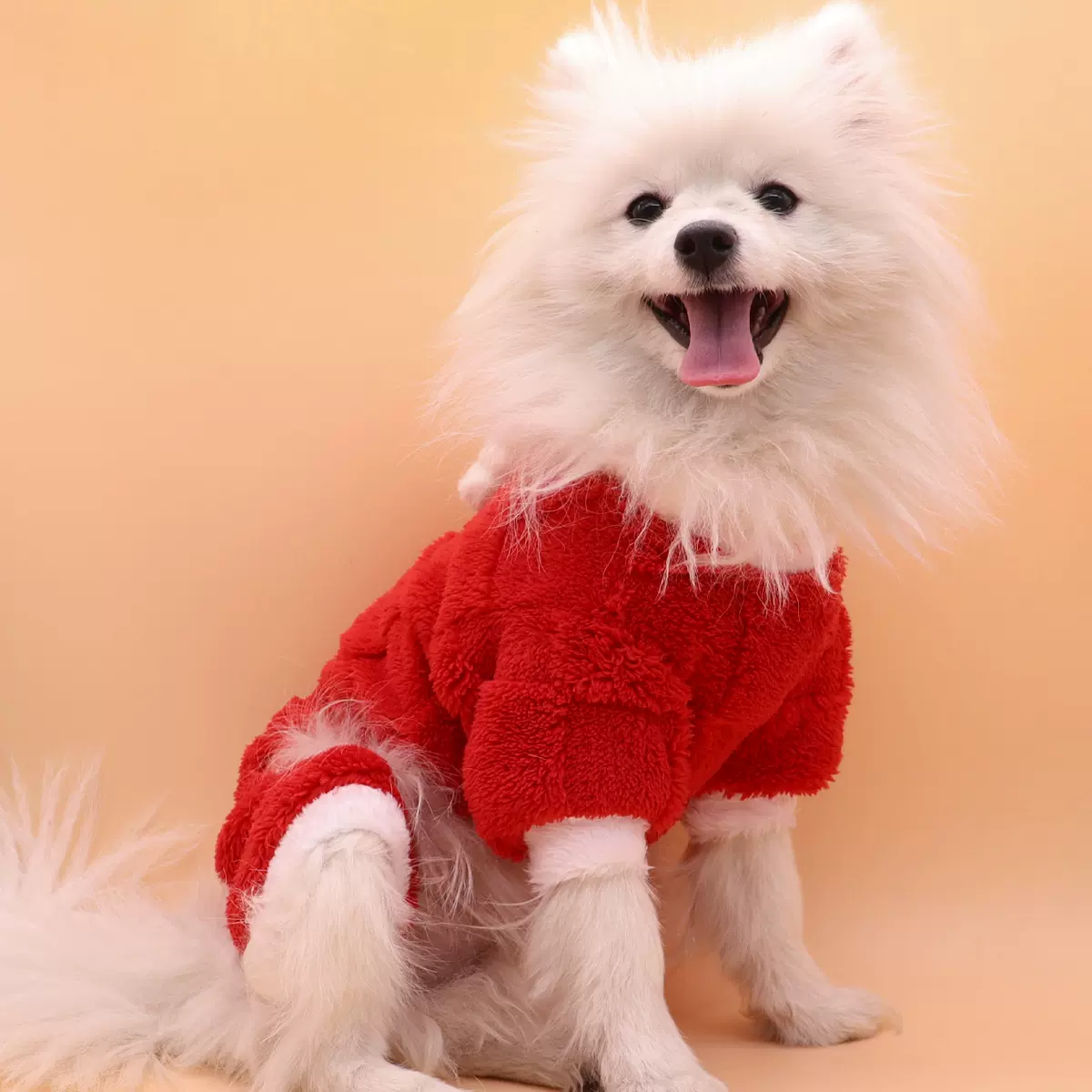 宠物衣服红色喜庆猫咪衣服防掉毛保暖加厚狗狗四脚衣比熊柯基衣服