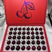 �������\܇����/���҆�j-5j��Ʒ�Y�а��b��S���]