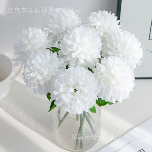 ���滨���^�ѹ�ӢС��ռٻ��͏d�[���廨��Y��c�b�ƹ�Ҿջ���