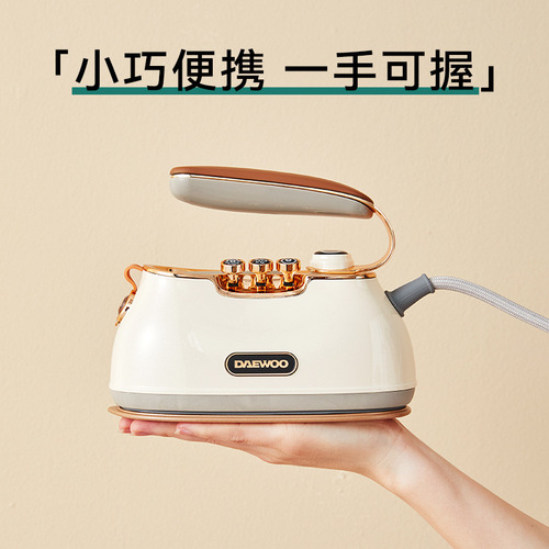 DAYU Handheld Steamer Small Starry Iron for Home Use, Compact and Portable Iron for Ironing Clothes