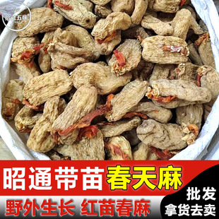 �������Ұ�����������ͨ�������؛���l�a��ֱ�l����ֱ����؛