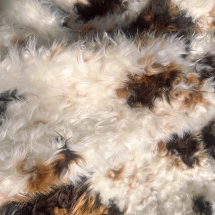 奶牛纹提花皮草面料羊卷毛拧花滩羊毛斑点人造毛服装箱包地毯布料