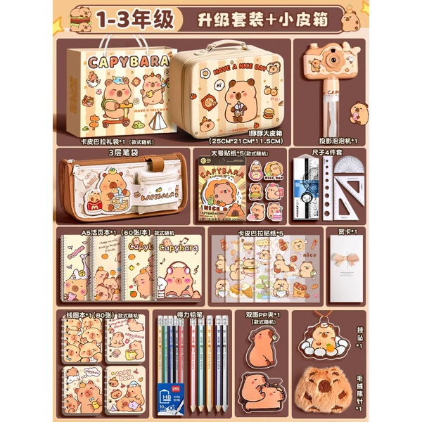 Lower grade-upgrade set + small suitcase