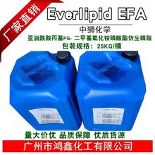 l EFA  PG-׻Ȼ@ w 1kg