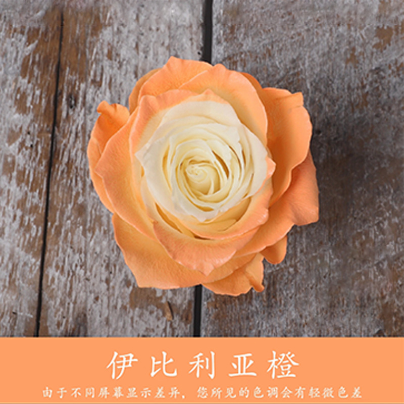 450ml agente de color de aerosol de flores al por mayor pintura en aerosol de secado rápido agente de teñido de rosas de color aerosol de color perlado floristería