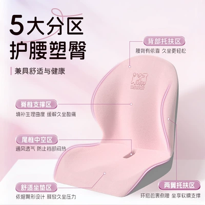 Cushion, Classy Car Seat – Headrest