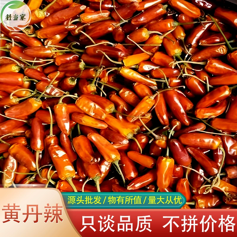 Юньнань Красная река Источник Хуан Дань Перец Нагнающий Пряный Нао Пряный Барбекю Dip Сухой Горшок Сухая Утка Желтый Желчный Пикантный Перец