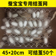 蚕茧架蚕宝宝吐丝结茧网蚕子蚕虫提蚕网小网片养蚕工具饲养盒