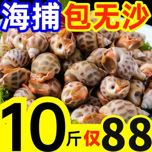 �����r��������r�ش�|�L������С�������ݺ��rˮ�a��Sؐoɳ