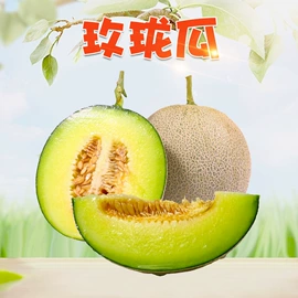 代用/养生茶;苹果;橙