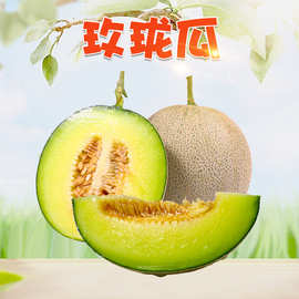 【严选】山东玫珑瓜3斤新鲜网纹冰激凌甜瓜应季水果哈密瓜非玉菇
