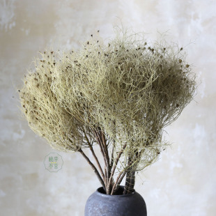 Soft Silk Fantasy Grass Dried Flower Bouquet Manufacturer Wholesale Fog Lover Home Flower Arrangement Window Decoration Wedding Flower Material