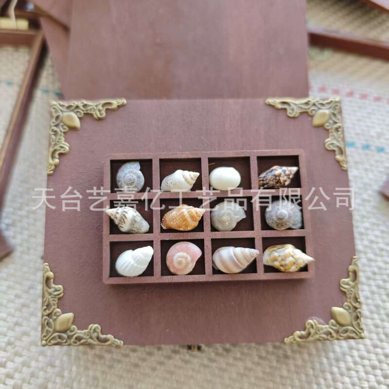 Wooden Miniature Jewelry Rack, Mini Collection Rack, Antique Rack, Multi-Specification Shell and Conch Decoration, Refrigerator Magnet, Small Ornaments