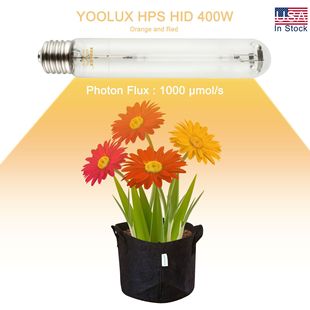 Cross-border HPS 250/400/600/1000W Agricultural Sodium Lamp Plant Growth Lamp Factory Wholesale