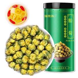 福东海胎菊80克胎菊王桐乡贡菊花茶金银花罐装茶叶花草茶批发代发