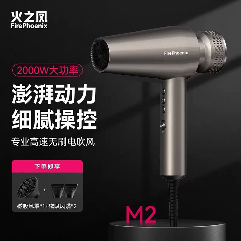 M2 티타늄 그레이(브러시리스 모터 2000와트)