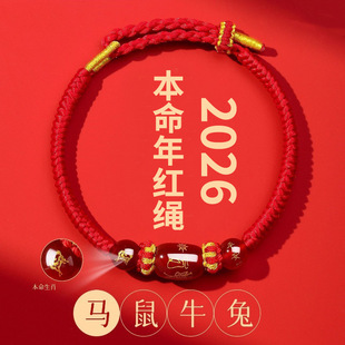 2026�������D�\��t�K������Kdiy�������K��Ů�ִ����������K