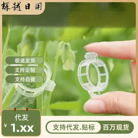 藤蔓固定夹瓜果蔬菜卡扣绿植园艺藤蔓固定器辣椒西红柿植物藤曼夹