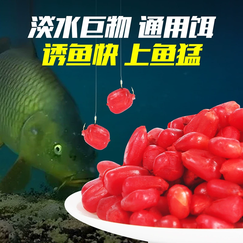 谷蜀香 Blood corn black pit wild fishing reservoir fishing supplies, carp, grass, green Luo, non -nest fishing bait fish bait