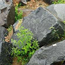 �Ї���ˮ����ɽ��ˮͥԺ���^ʯ��Ȼԭʯ�~���g��ʯ���T�쾰��ʯƤ