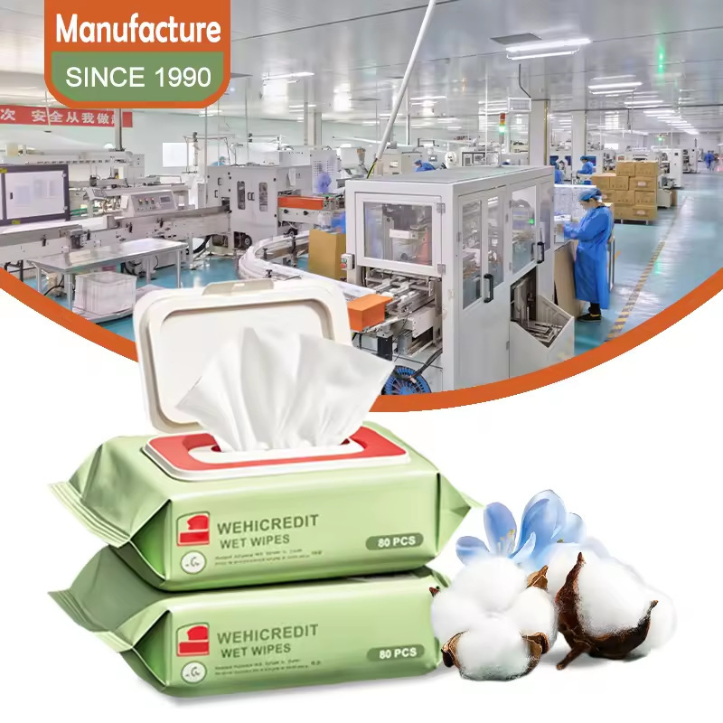Customized Biodegradable Flushable Natural Water Disposable Wet Wipes Various Pieces 1-120 Pieces Wet Wipes Customized Biodegradable Flushable Natural Water Disposable Wet Wipes Various Pieces 1-120 Pieces Wet Wipes