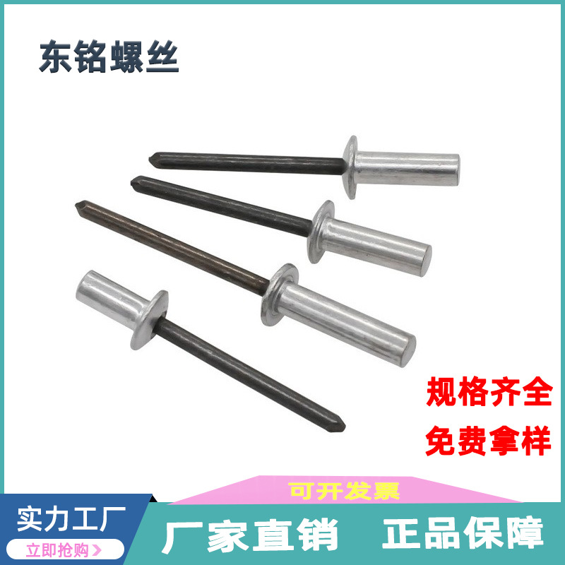 GB12615铝铁封闭型平圆头抽芯铆钉 密封3.2 4.8 5 6.4元头拉铆钉