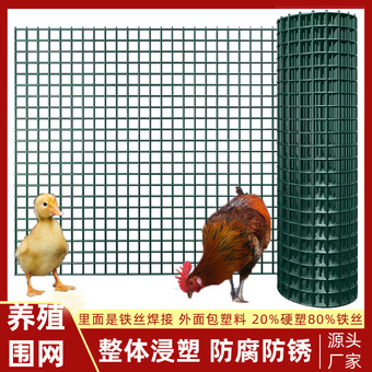 铁丝荷兰网鸡鸭围栏养殖网小孔防鼠圈地防护网绿色包塑加厚隔离网