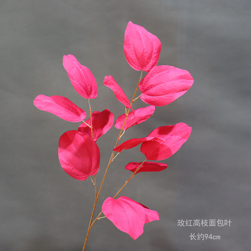 Rosa roja rama alta hoja de pan_1