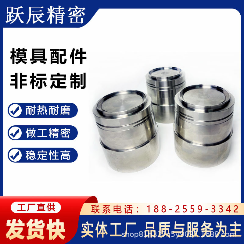 SKD61镶针镶件模芯模仁冲针冲头模具配件 SKD11 精密非标零件加工