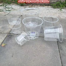 ͸�������m��һ���Ի���͸�����������^�����Ժ����m�������÷���