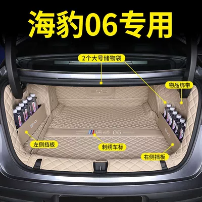 Trunk Mat: Seal 06dmi Trunk Mat Surrounding
