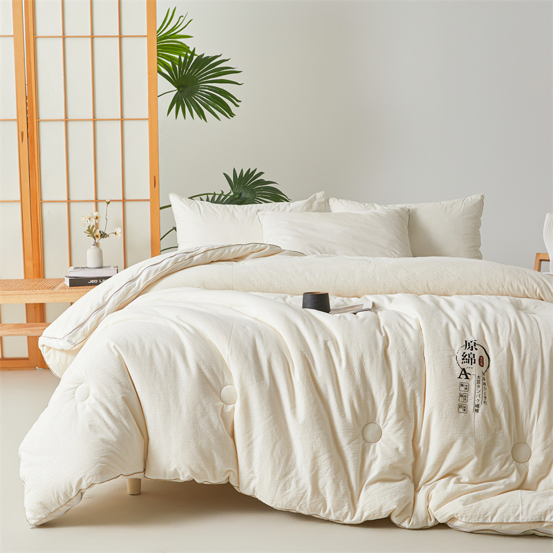 Class A Comforter Soybean Fiber Quilt Spring Autumn 2-in-1 Mother-Child Duvet Student Dormitory Single Person Thickened Winter Quilt Core