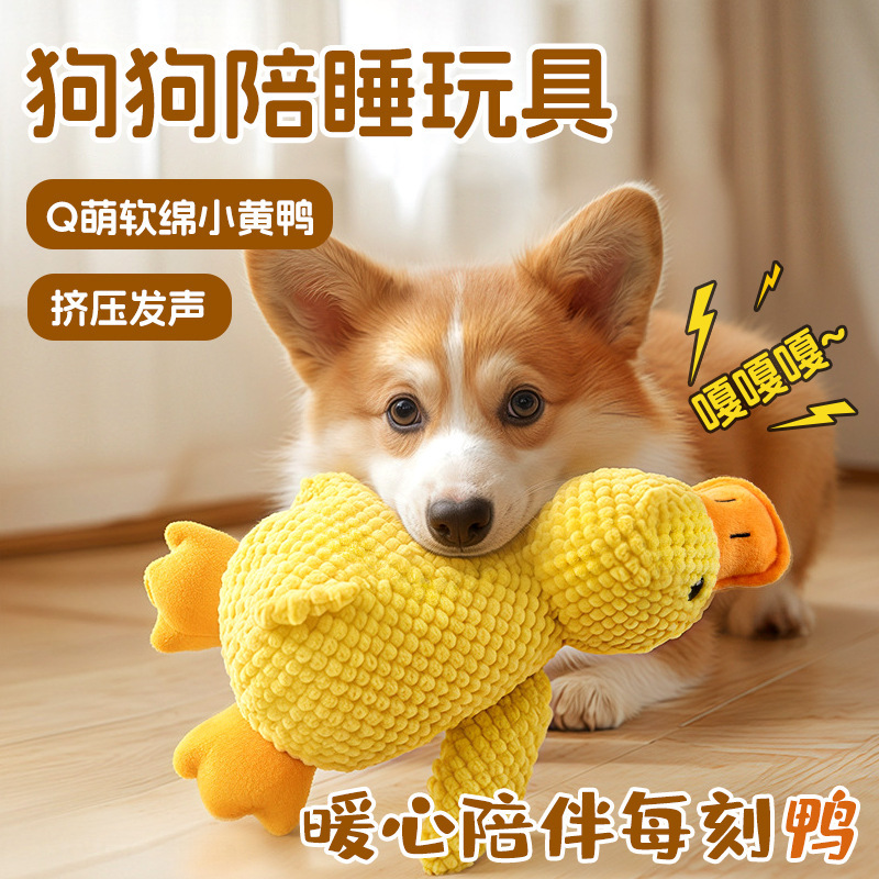 犬のおもちゃのぬいぐるみが寝ているアヒルは歯ぎしりに耐えて音がします。|undefined
