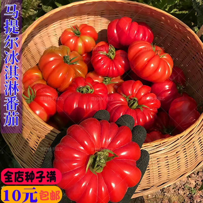 Супер сладкое мороженое, водный каштан, крупные семена помидоров, полевые горшечные весенние, летние и осенние овощные семена