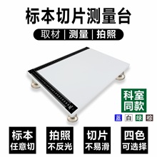 标本ESD病理组织测量切片拍照板石蜡切片移动L形刻度尺取材工作台