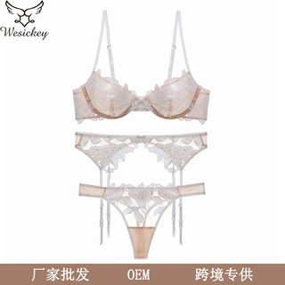 跨境性感情趣内衣女法式超薄刺绣蕾丝文胸大胸显小大码内衣三件套