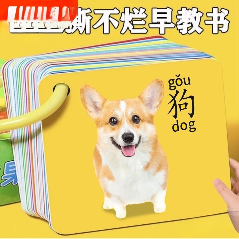 动物卡片认知早教儿童识字看图识物启蒙书婴幼儿宝宝玩具水果