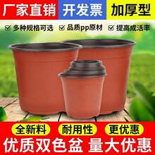 �����pɫ�����籭���ϱ�һ�������ݮ�����躆��ܛ�軨��̎����}