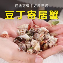 �ľ�з�����ײ���B��С���B��Ʒ ����з���b���挙�ͯ�Y��