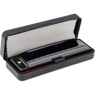 Manufacturer Wholesale 10-Hole Blues Harmonica C Key Adult Kidsren Beginners Entry-Level Musical Instrument 10-Hole Blues Harmonica
