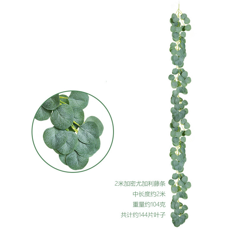 藤条1号 448叶 112花 24 (7).jpg