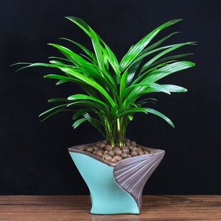 ���������^�p�����ļ������k���҃Ⱥ��Bֲ������՚�����Gֲ