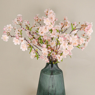 ����ѻ�4���ձ��ѻ� ��c�ٻ����^���Y�b����T·���S�����l