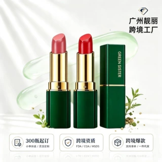 定制彩妆丝绒哑光口红跨境TK独立站美区保湿滋润不易脱色现货供应