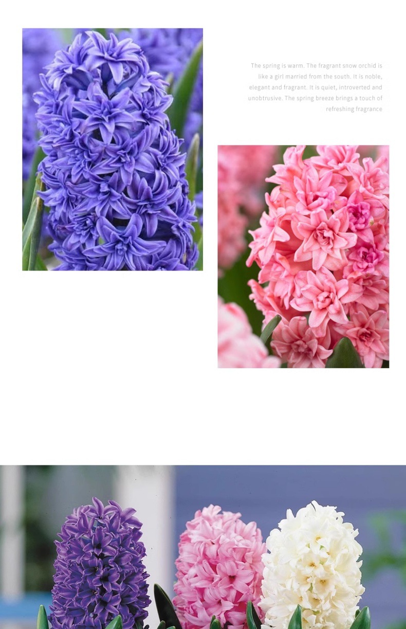 YJH_一键复制_20240722221433