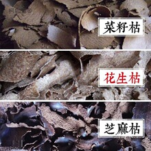 ~CϻͲʲɷĩĩ̫