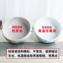 铜钱草花盆水仙盆睡莲碗莲无孔金钱陶瓷水养水培多肉大号