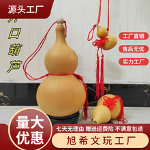 ��Ȼ�_�ں��J�����^�͏d�k���Ҵ���С̖����Lˮ�T���T�[������J