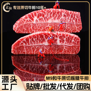 һ�����lM9��ţѩ��ţ�����r����ţ�ǰ���ԭ��ţ�Ź����ţ��