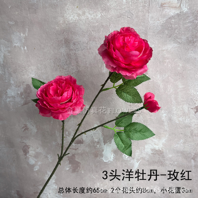 외국 모란 특별 가격